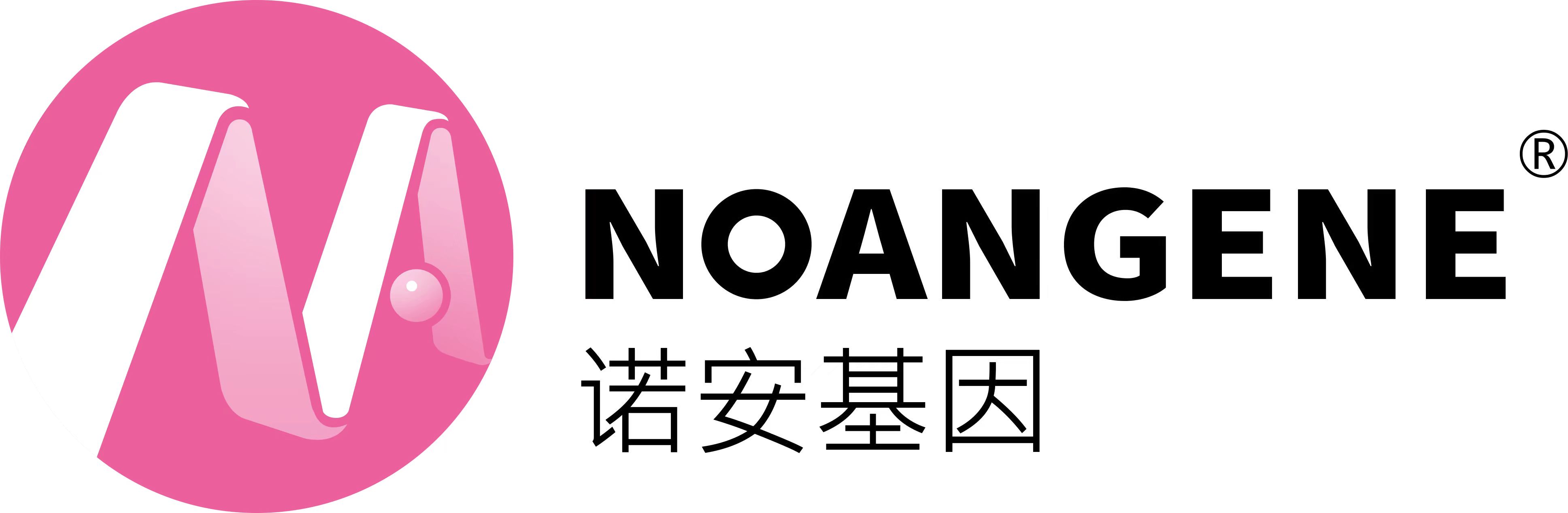 原代细胞